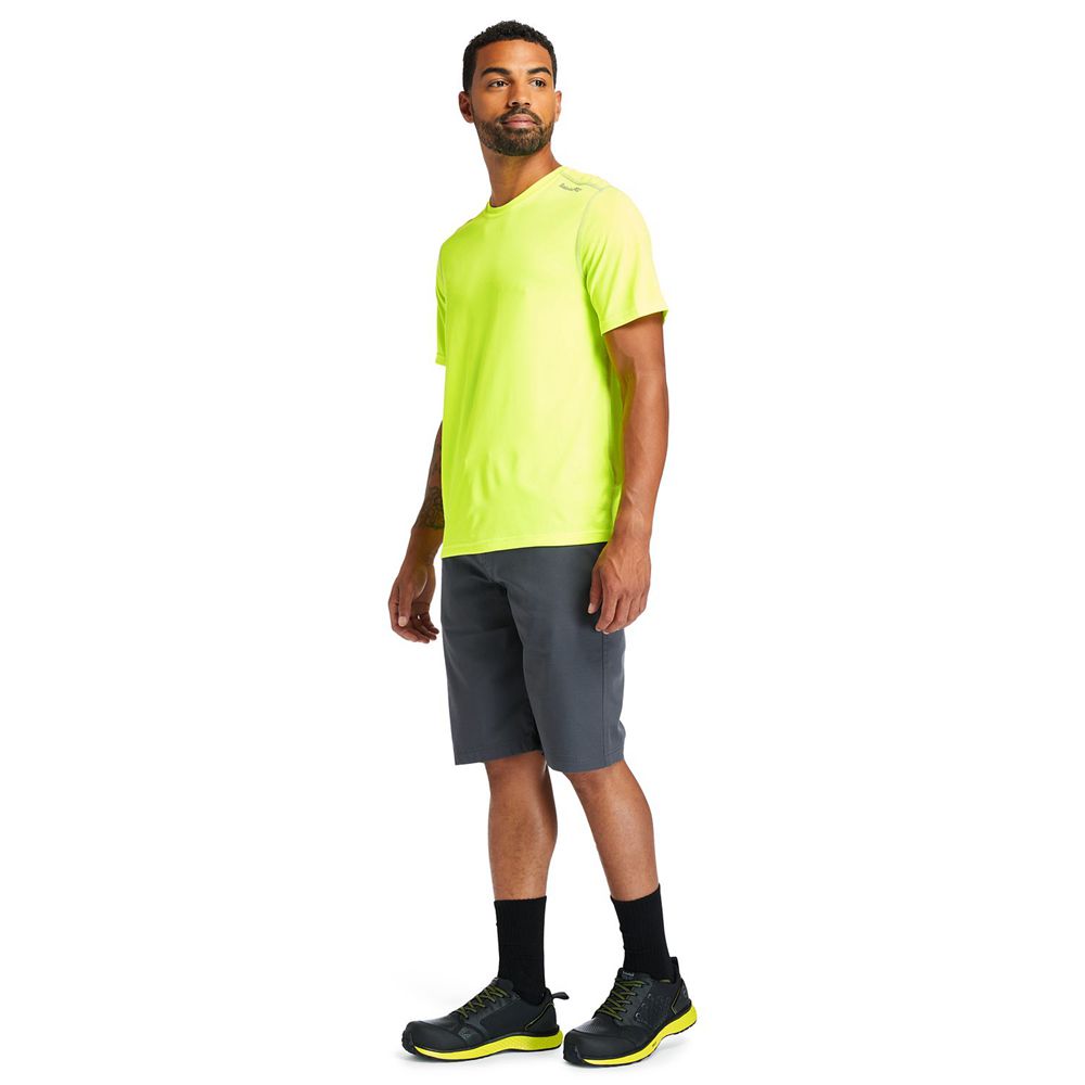 Camisetas Timberland Hombre Pro® Wicking Good Sport Short Sleeve Verde - Chile JFQ-908352